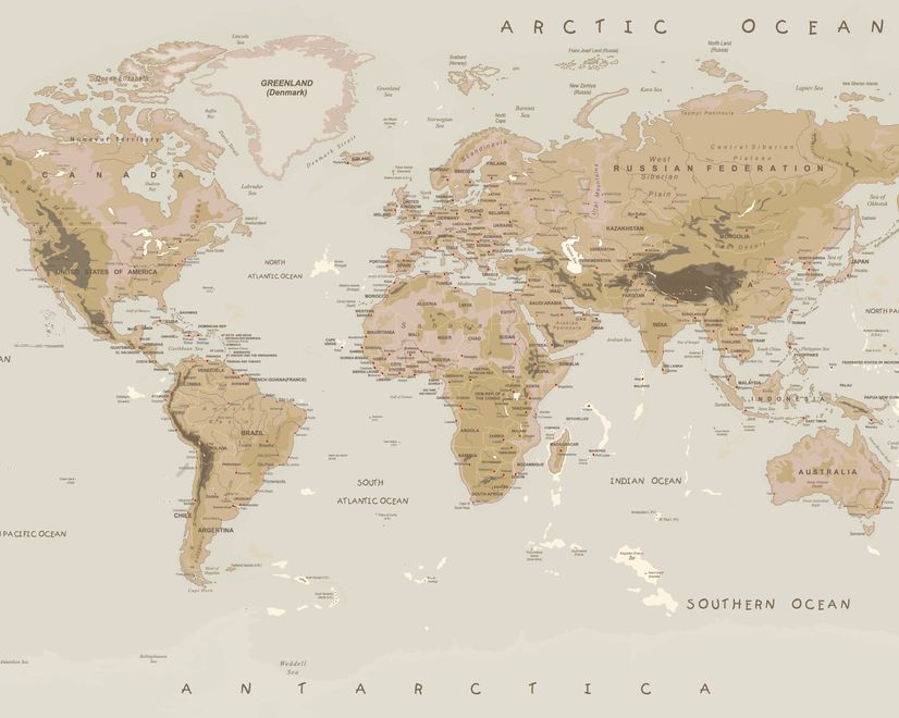 Soft Brown Political World Map Wallpaper Mural