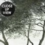 Tropical Forest and Horned Deer Wallpaper Mural