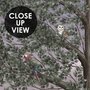 Kids Forest Animals Landscape Wallpaper Mural