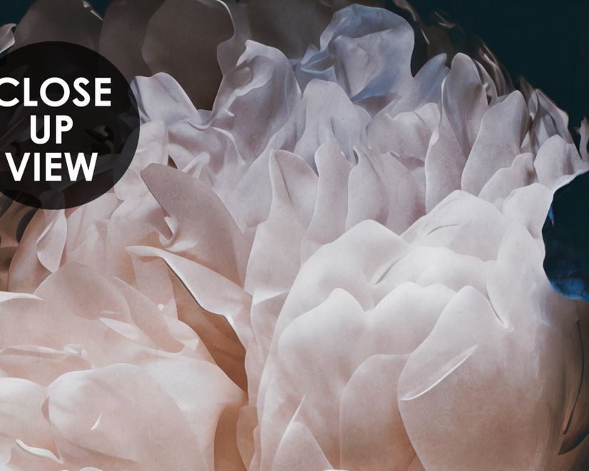 Dark Floral Peony Bouquet Wallpaper Mural