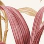 Colorful Tropical Banana Tree Wallpaper Mural