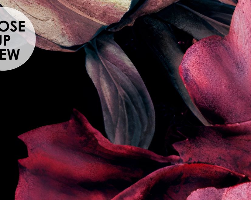 Dark Watercolor Colorful Peony Floral Wallpaper Mural