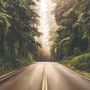 Autobahn auf der Waldlandschaft Fototapete