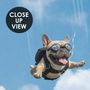 Kids Playful Animal Skydiving Wallpaper Mural