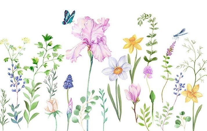Cartoon Colorful Flower Garden Wallpaper Mural