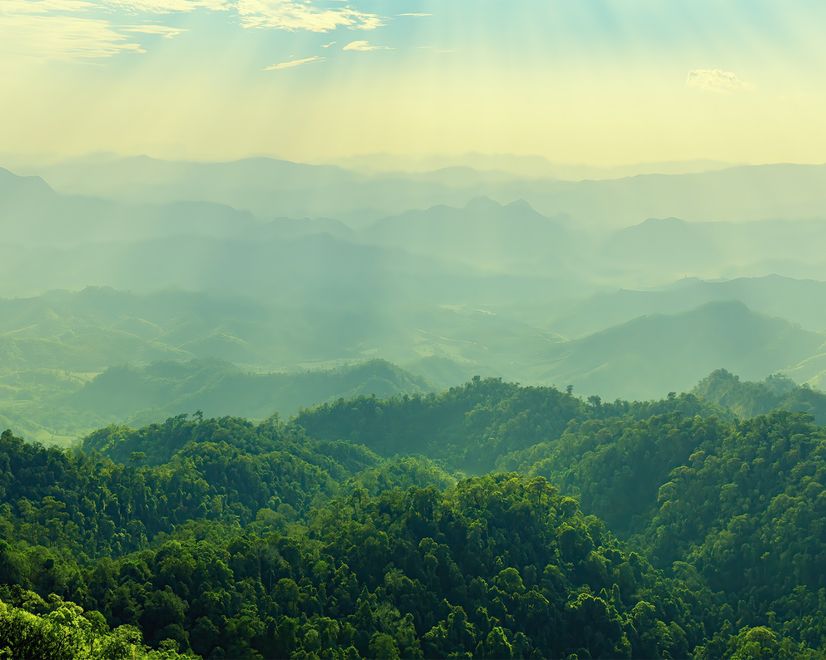 Green Mountain Silhouette Wallpaper Mural