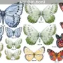 Colorful Butterflies Wall Decal Sticker