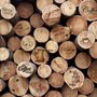 Kaffeeladen mit Holzwand Fototapete
