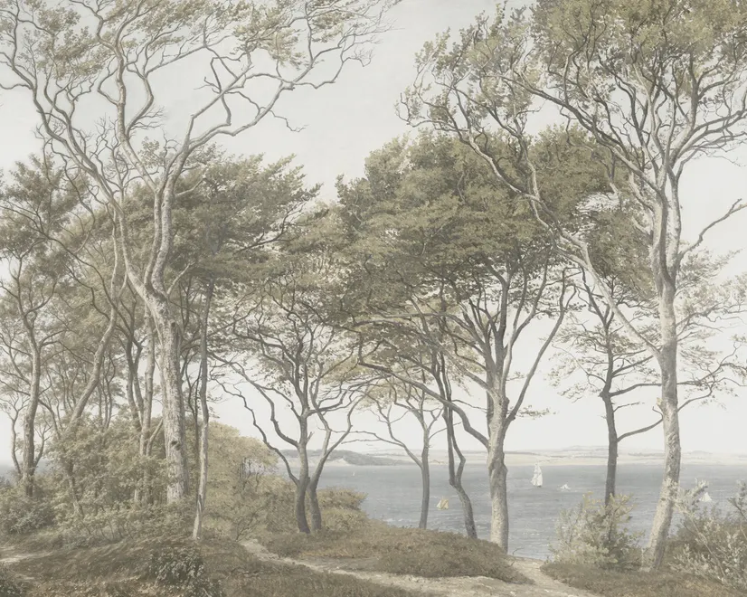 Tree wallpaper forest mural with olive coastal woodland, bare branches, shoreline path and small sailboats