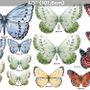 Farbenfrohes Schmetterling Wandtattoo