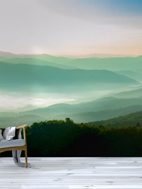 Misty Mountain Green Forest Fototapete