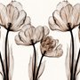 Papier peint panoramique floral transparent