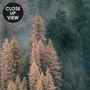 Misty Forest Wallpaper Mural