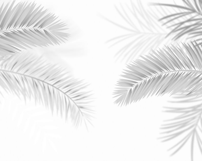 Dark Tropical Leaf Wallpaper Mural