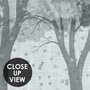 Light gray wallpaper mural with misty forest trees, falling leaves and birds