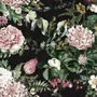 Dark Botanical Soft Floral Wallpaper Mural
