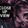 Dark Floral Claret Peony Floral Wallpaper Mural