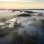 Fototapete Nebliger Wald am Fluss