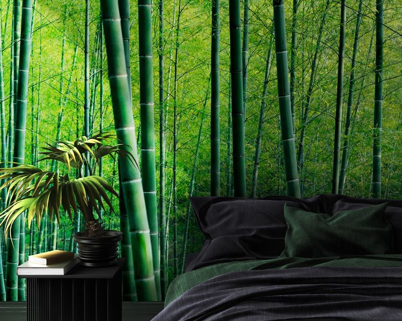 Bamboo Forest Wallpaper Mural
