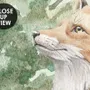 Kids Forest Animals in the Jungle Wallpaper Mural