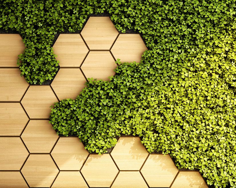 Hexagon Honeycomb Pattern and Fresh Grass Wallpaper Mural