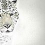 3D Look Monochrome Tiger Wallpaper Mural