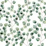 Watercolor Eucalyptus Leaf Pattern Wallpaper Mural
