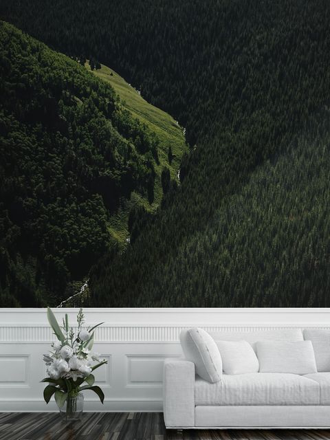 Papier peint panoramique vue aérienne de forêt naturelle sur les montagnes