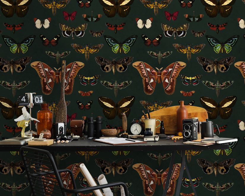 Colorful Butterfly Patterns on Green Background Wallpaper Mural