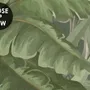 Rainforest Nature Tree Landscape Wallpaper Mural