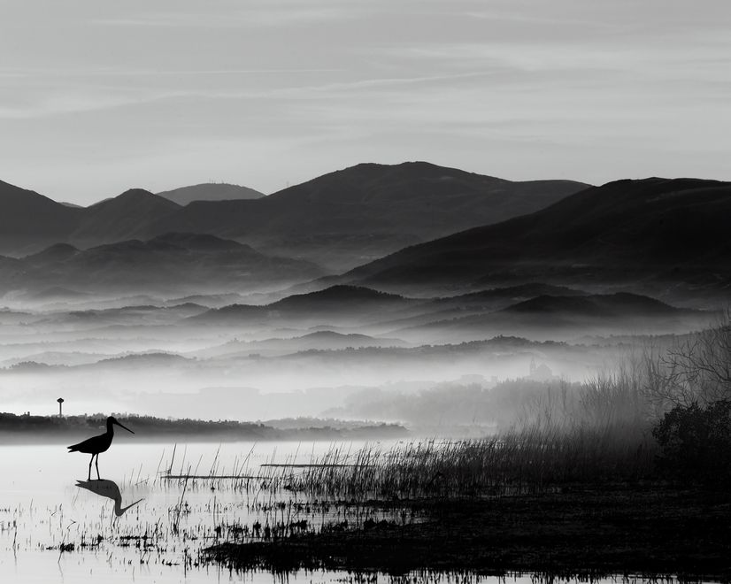 Monochrome Dunkler See Landschafts-Fototapete
