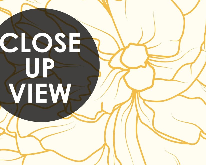 Drawing Peony Floral Art Wallpaper Mural