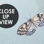 Gardenia Floral and Butterfly Wallpaper Mural