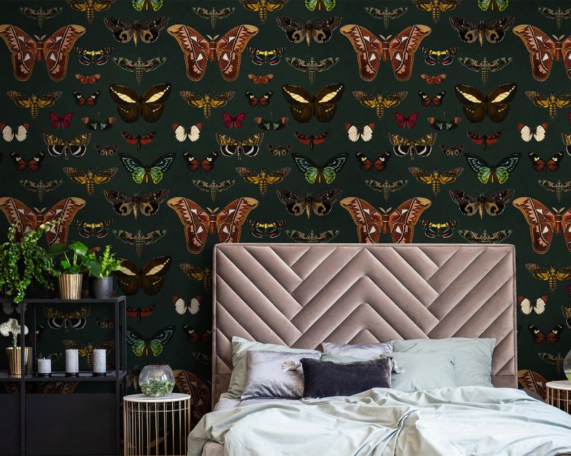 Colorful Butterfly Patterns on Green Background Wallpaper Mural
