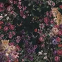 Dark Leopard Floral Garden Botanical Wallpaper Mural