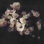 Dutch Dark Floral Wallpaper Mural