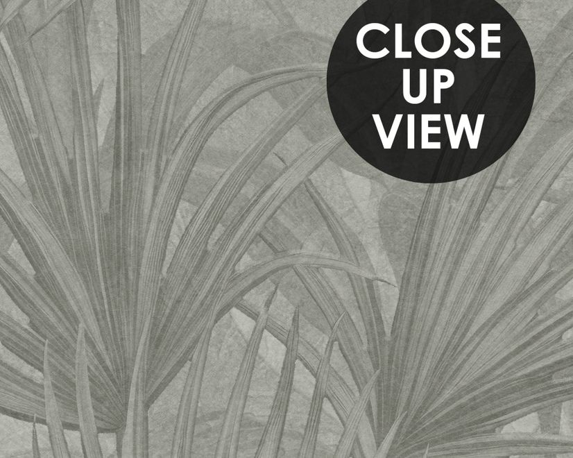 Monochrome Tropical Botanical Wallpaper Mural