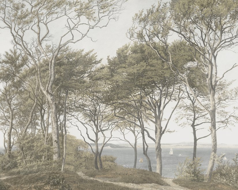 Tree wallpaper forest mural with olive coastal woodland, bare branches, shoreline path and small sailboats