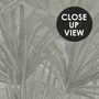Monochrome Tropical Botanical Wallpaper Mural