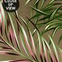 Charcoal Banana and Palm Leaves Wallpaper Mural