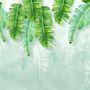 Tropical Leaves and Shading Leaf Wallpaper Mural