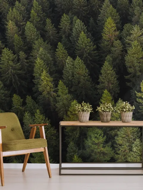 Pine Forest Landscape Wallpaper Mural