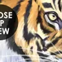 Kids Safari Watercolor Tropical  Forest Jungle Animals Wallpaper Mural