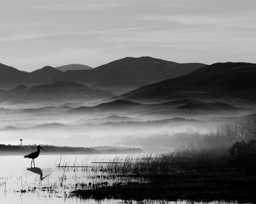 Monochrome Dark Lake Landscape Wallpaper Mural