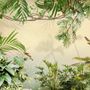 Magical Tropical Rainforest Wallpaper Mural