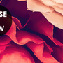 Red Dahlia Rose Floral Bouqet Wallpaper Mural