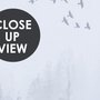 Monochrome Night Forest and Birds Wallpaper Mural