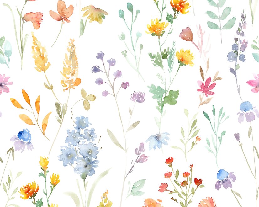 Aquarell Bunte Botanische Wildblumen Fototapete