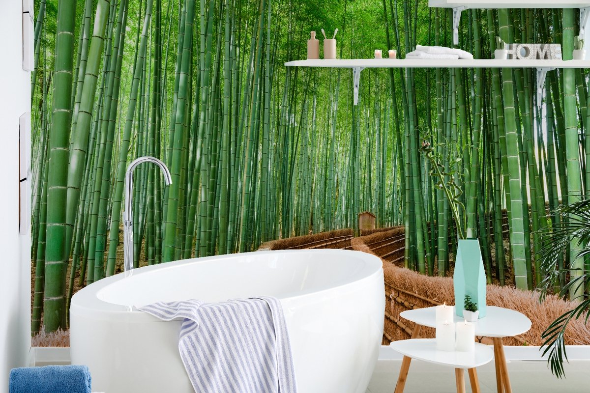 Bamboo Forest Oasis Wallpaper Mural - Peel and Stick