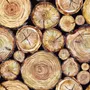 Stacked Wooden Stumps Wallpaper Mural